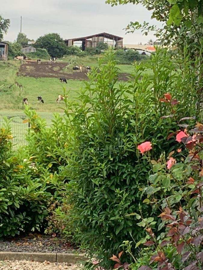 Gite Les Combes Terrasse 01340 Etrez Bresse Vallons Екстериор снимка